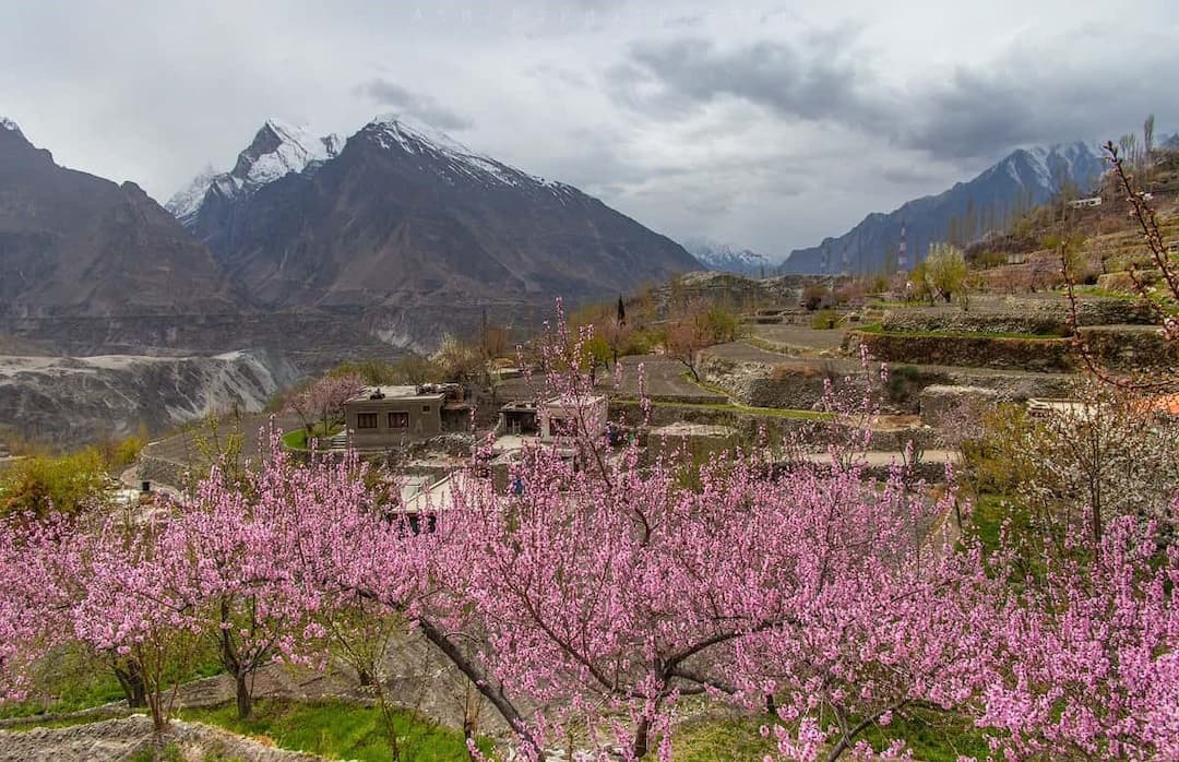 Journey Through the Heart of Karakoram