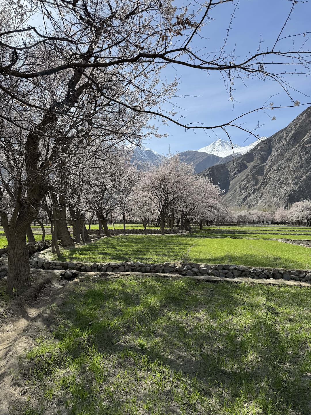 Journey Through the Heart of Karakoram