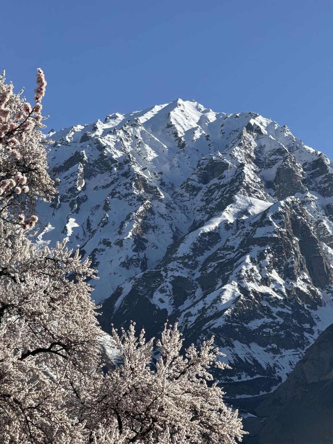 Journey Through the Heart of Karakoram